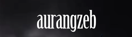 Aurangzeb Experience